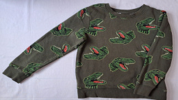 Bluza dziecięca H&M dinozaury