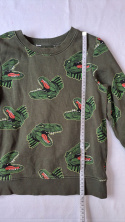 Bluza dziecięca H&M dinozaury